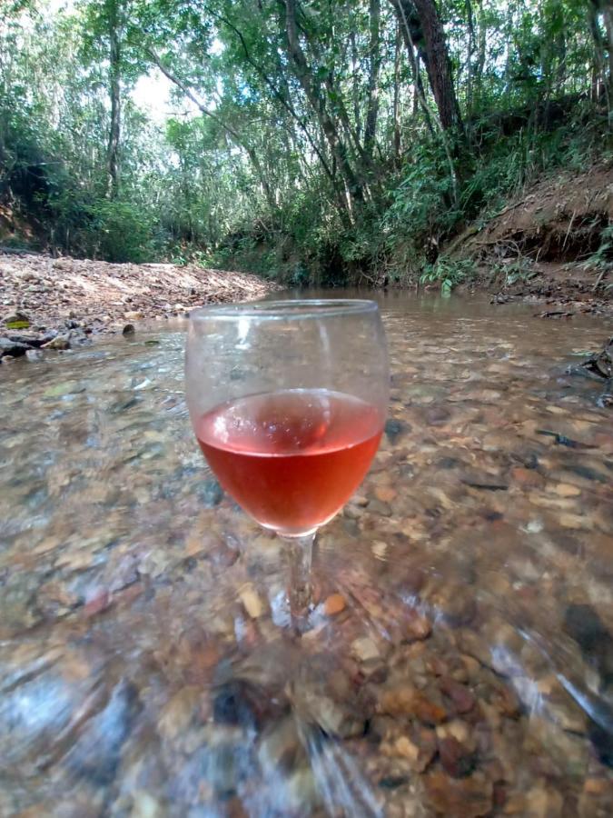 Chale Aconchegante, Pertinho Da Cidade E Conectada A Natureza Brasília Exterior foto
